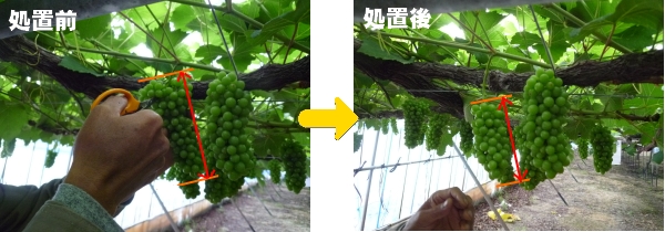 説明