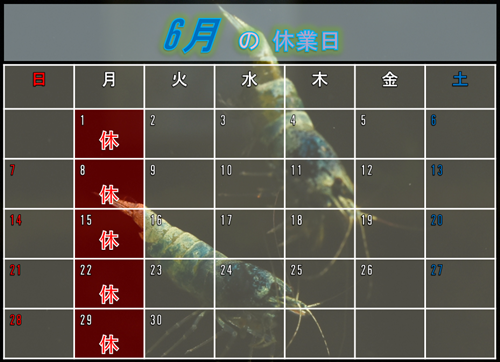 ６月のカレンダー