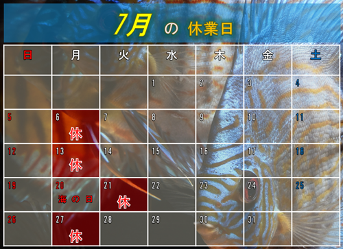 7月のカレンダー
