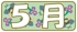 5月