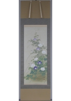 朝顔　出口華凰